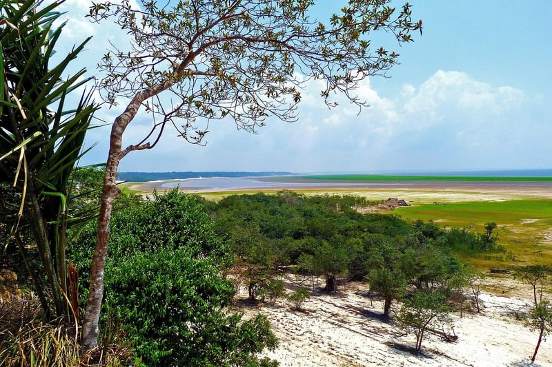 Amazon Rainforest, Brazil